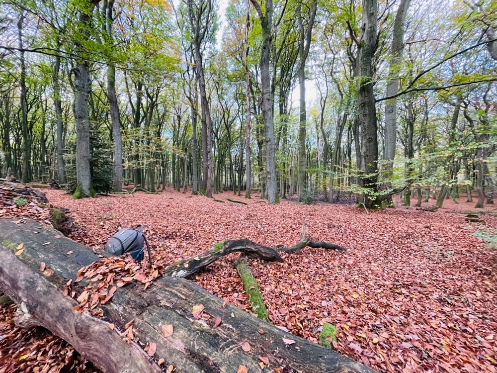 |\ Die\ Ruhe\ der\ Natur