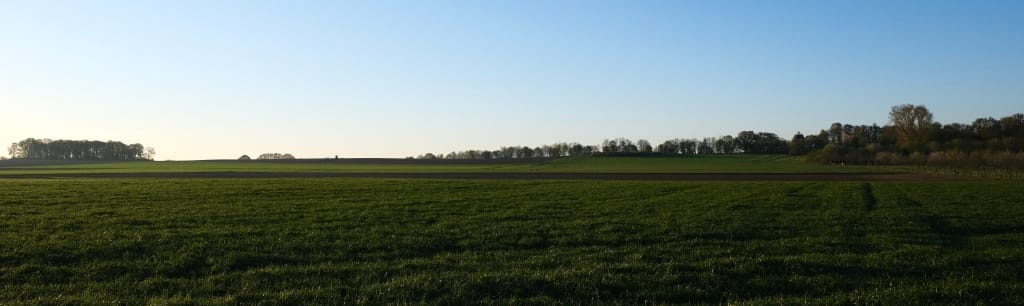 |\ Uedemer\ Feld\ &\ Hohe\ Mühle