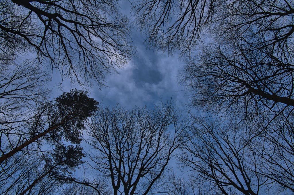 +\ \ |\ Wander\ dir\ den\ Kopf\ frei!\ Wanderbericht\ aus’m\ Uedemer\ Hochwald.