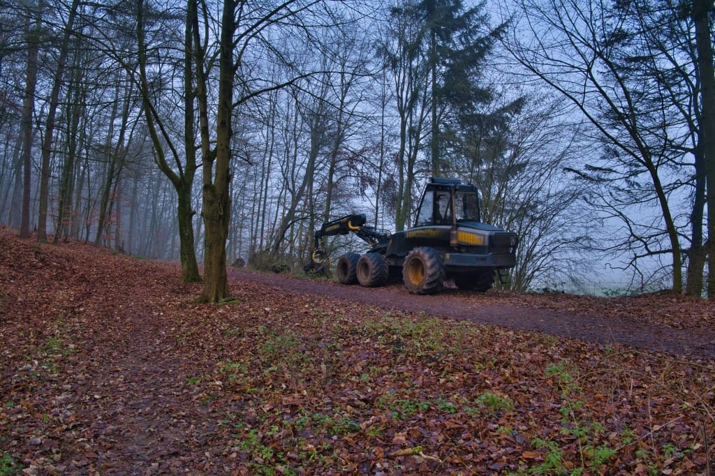 +\ \ |\ Wander\ dir\ den\ Kopf\ frei!\ Wanderbericht\ aus’m\ Uedemer\ Hochwald.