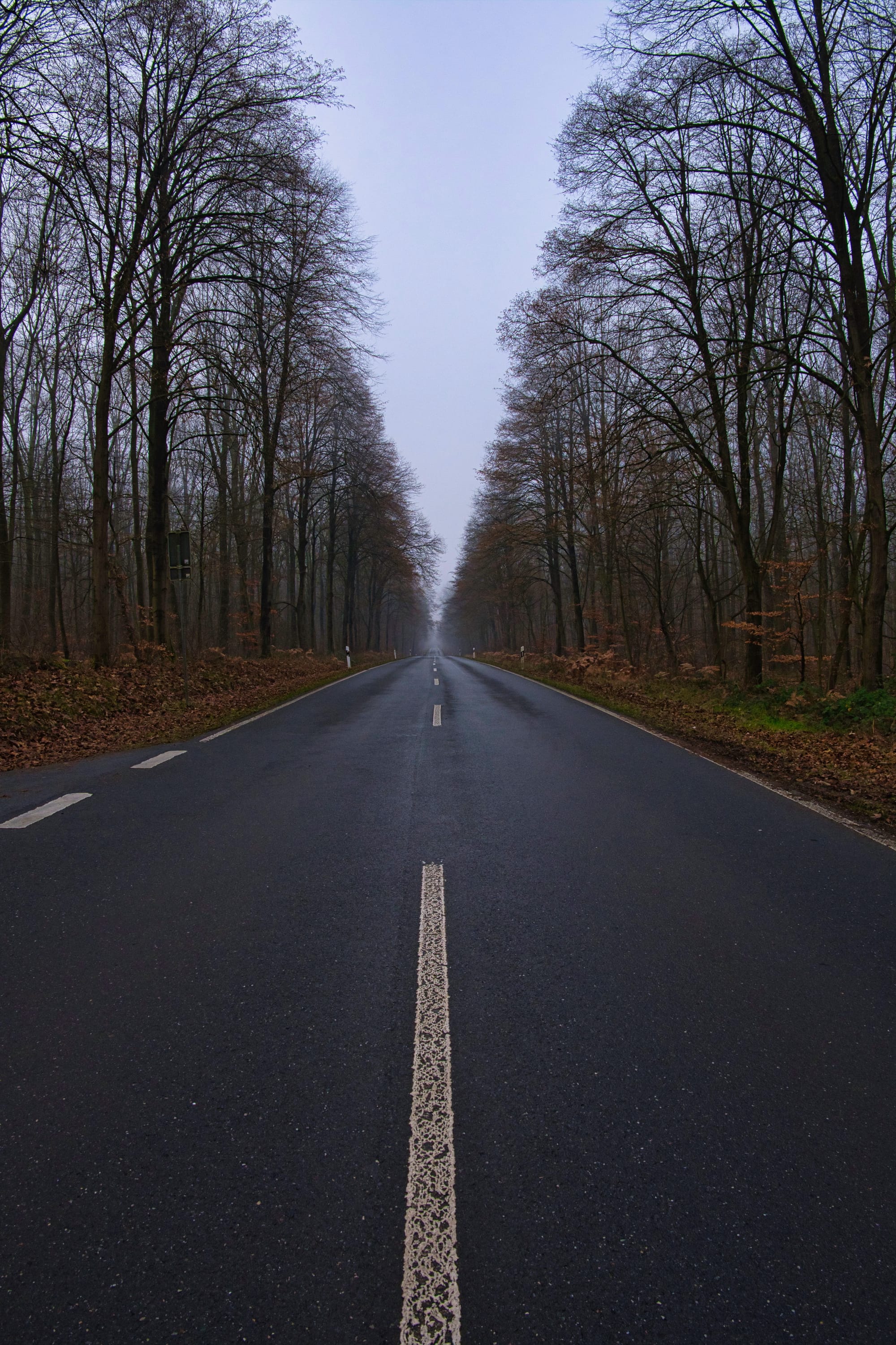 +\ \ |\ Wander\ dir\ den\ Kopf\ frei!\ Wanderbericht\ aus’m\ Uedemer\ Hochwald.