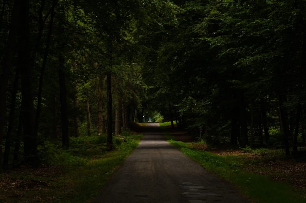 +\ \ |\ Wander\ dir\ den\ Kopf\ frei!\ Wanderbericht\ aus’m\ Uedemer\ Hochwald.
