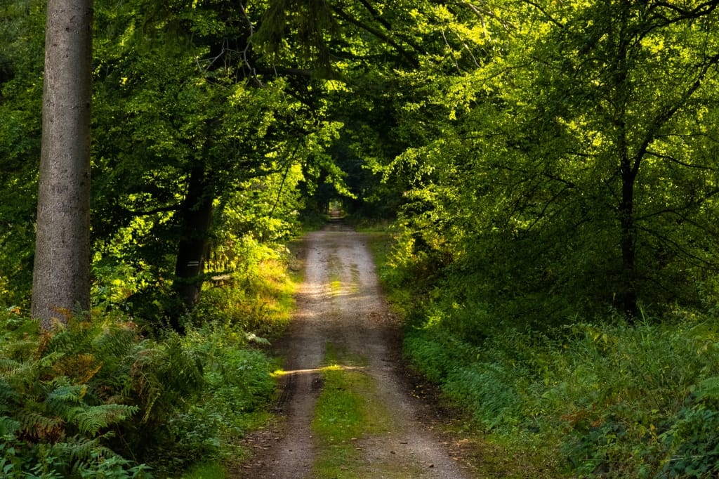 +\ \ |\ Wander\ dir\ den\ Kopf\ frei!\ Wanderbericht\ aus’m\ Uedemer\ Hochwald.