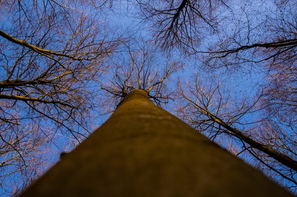 +\ \ |\ Wander\ dir\ den\ Kopf\ frei!\ Wanderbericht\ aus’m\ Uedemer\ Hochwald.