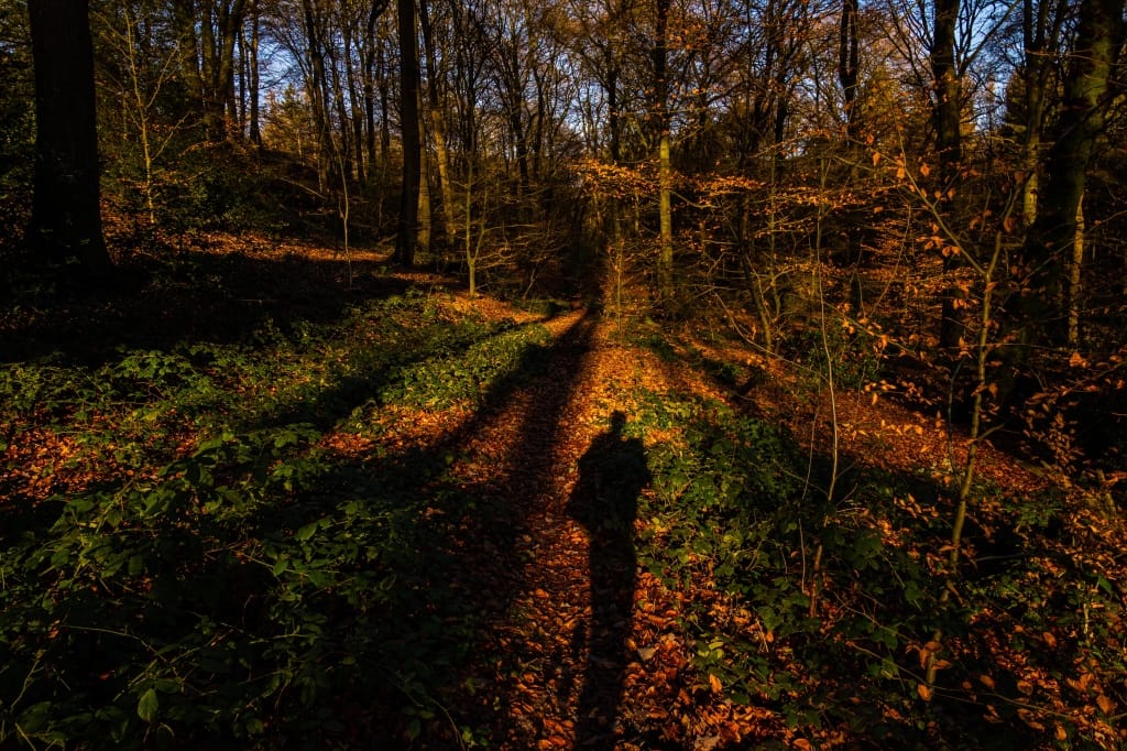 +\ \ |\ Wander\ dir\ den\ Kopf\ frei!\ Wanderbericht\ aus’m\ Uedemer\ Hochwald.