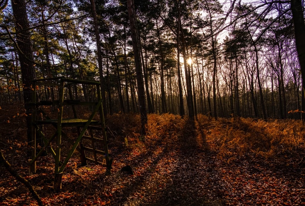+\ \ |\ Wander\ dir\ den\ Kopf\ frei!\ Wanderbericht\ aus’m\ Uedemer\ Hochwald.