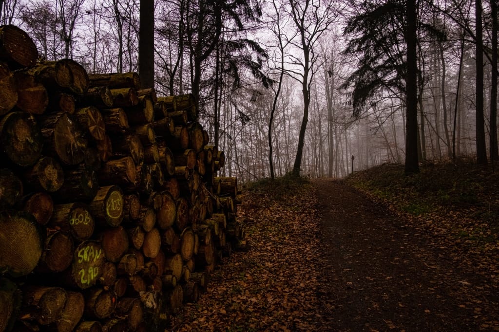 +\ \ |\ Wander\ dir\ den\ Kopf\ frei!\ Wanderbericht\ aus’m\ Uedemer\ Hochwald.