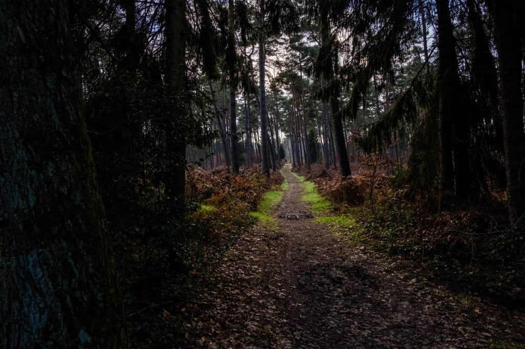 +\ \ |\ Wander\ dir\ den\ Kopf\ frei!\ Wanderbericht\ aus’m\ Uedemer\ Hochwald.