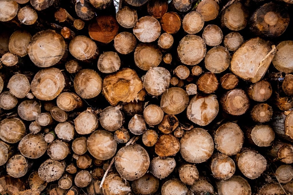 +\ \ |\ Wander\ dir\ den\ Kopf\ frei!\ Wanderbericht\ aus’m\ Uedemer\ Hochwald.