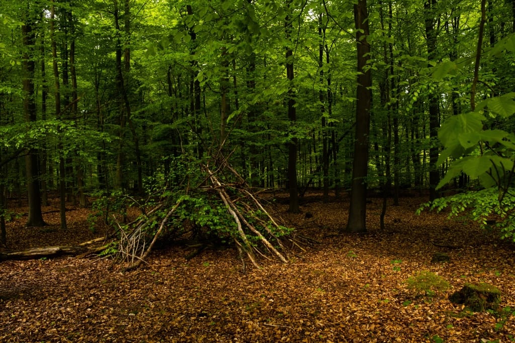 +\ \ |\ Wander\ dir\ den\ Kopf\ frei!\ Wanderbericht\ aus’m\ Uedemer\ Hochwald.