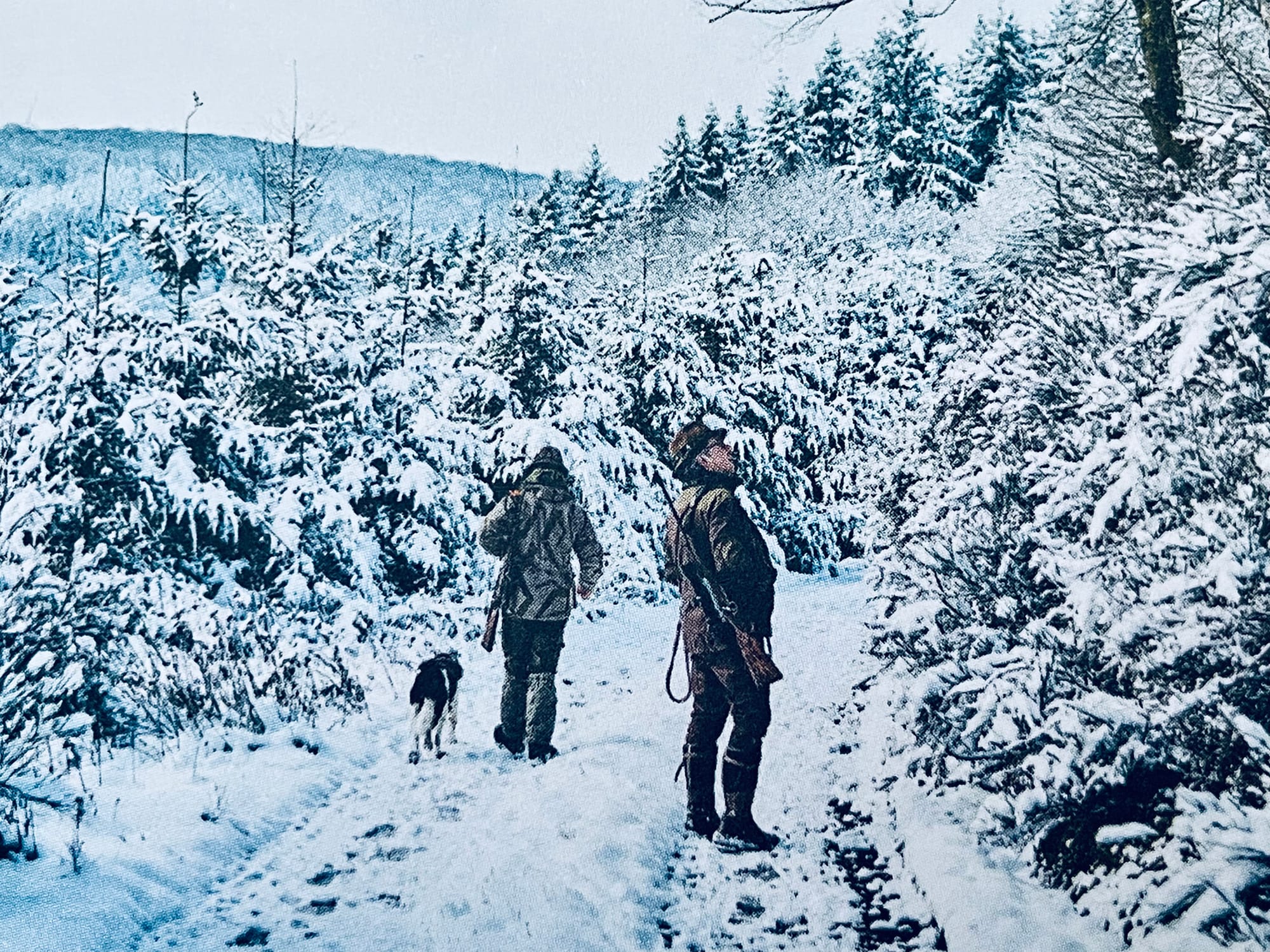 |\ Wild,\ Wald,\ Genuss\ -\ Vom\ Kochen\ und\ Jagen